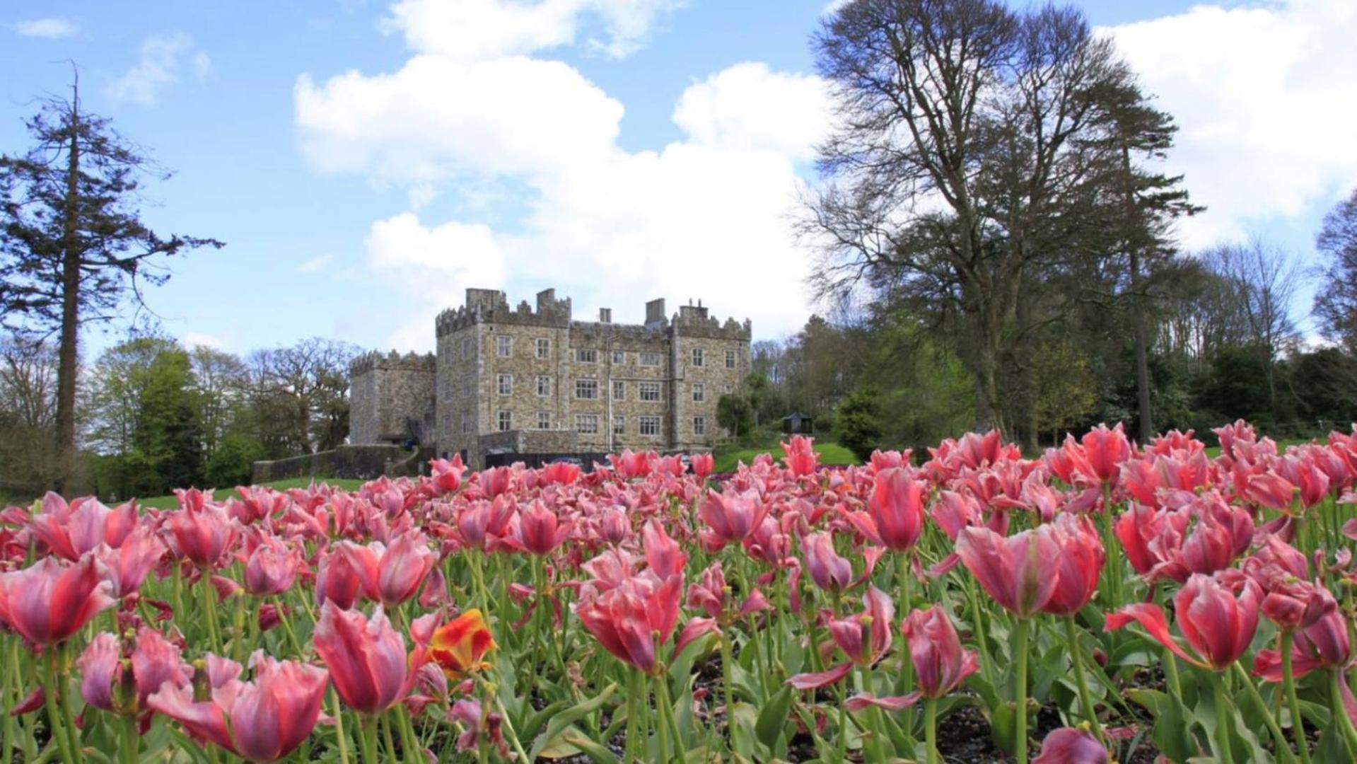 Waterford Castle Hotel Lodges 外观 照片
